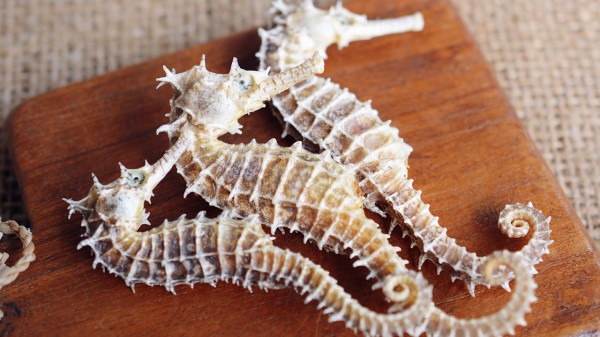 女人冬季進補有禁忌 冬季感冒千萬別進補