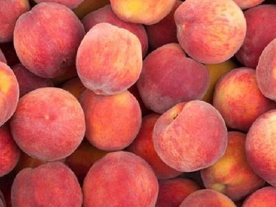 保持哪些好習慣才能養胃? 堅持4個好習慣養出好胃口