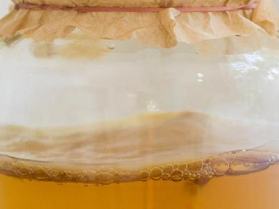 春季養生保健該注意些什么 春季養生保健飲食6大原則