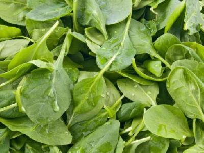 飲食養胃究竟要怎么做才正確 推薦飲食養胃的營養食譜