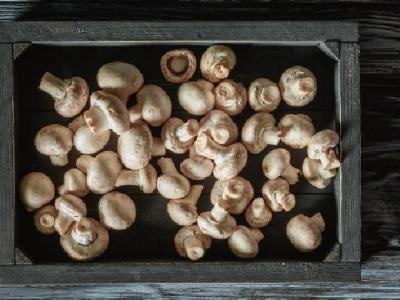 女人秋季進補吃什么好 女性秋季進補推薦4種食物