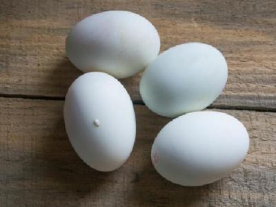 緩解春困有妙法 蛋白質幫你緩解春困