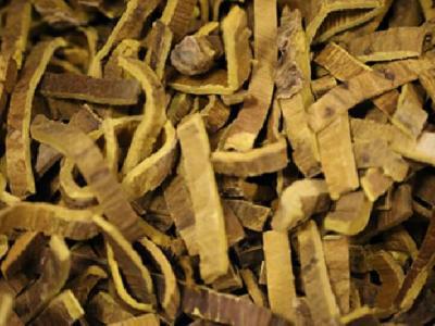 春天怎樣抵抗這種疲勞 應對春困牛蒡是抗疲勞好手