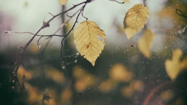 深秋養生，你該注意什么？