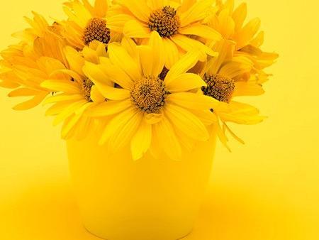 秋冬養(yǎng)生小常識(shí)，這里面群都概括了，你都做了哪些