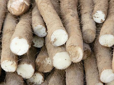 如何預防秋季上火？4種食物來敗火