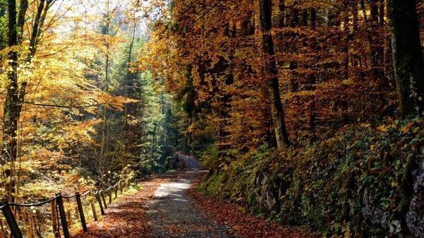 深秋養生，你該注意什么？