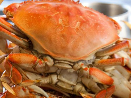 中秋節(jié)如何吃月餅？中秋節(jié)飲食保健指南來了