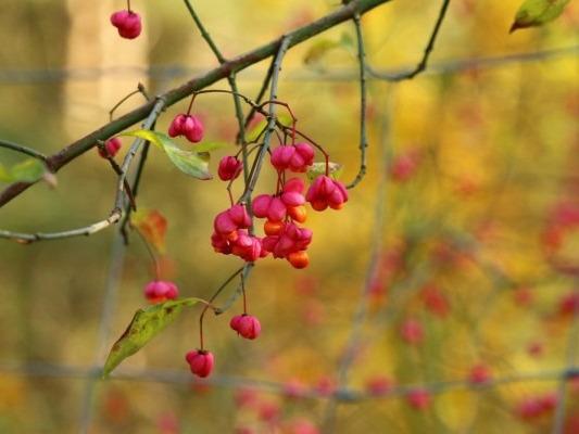 重陽節養生全攻略 中老年人一定要看