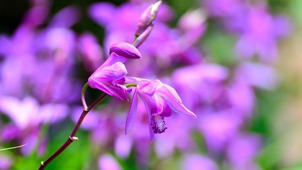 今日白露  秋天要來(lái)了