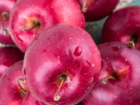 九月養(yǎng)生吃什么？ 5種食物來養(yǎng)生