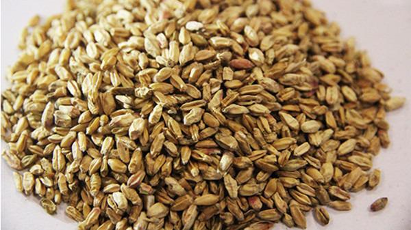 入伏吃什么養生 入伏吃什么好