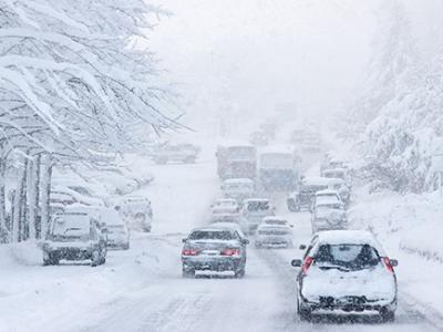 大雪駕到，養生吃這些