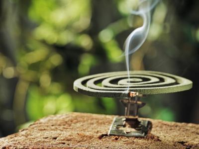 最便宜的驅蚊方式，看完才知道前半生白過了