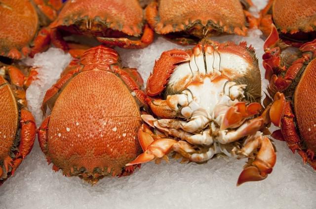 螃蟹死了能吃嗎？螃蟹死后吃了會怎么樣？