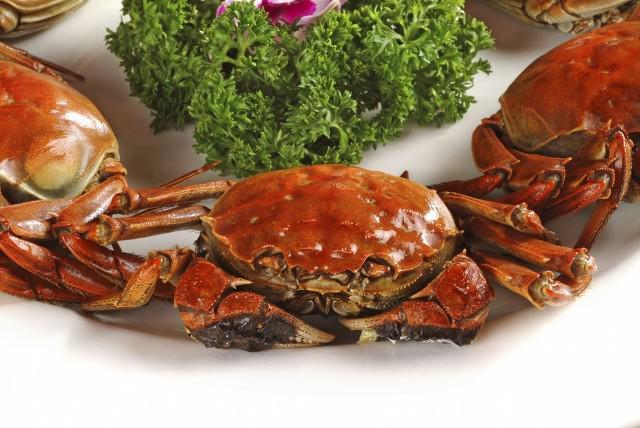 什么時(shí)候吃螃蟹最好？4個(gè)秘訣挑選螃蟹，膘肥更味美