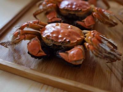 吃大閘蟹應該注意什么？一不小心就中毒了