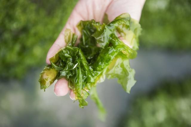 疤痕體質患者在日常生活中該如何預防疤痕？