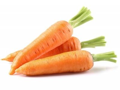 秋天吃什么蔬菜好？秋季養生應多吃這幾種蔬菜