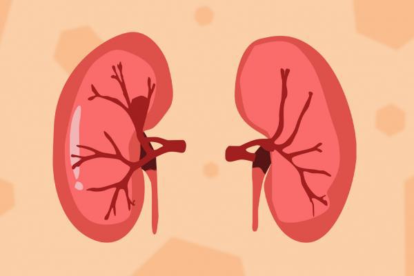 冬季怎么養腎補腎