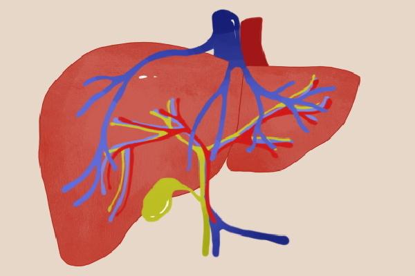 秋季肝火旺盛怎么調(diào)理