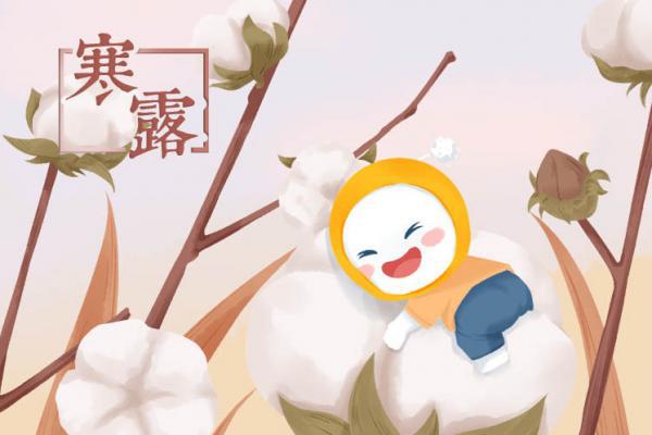 寒露是幾月幾號