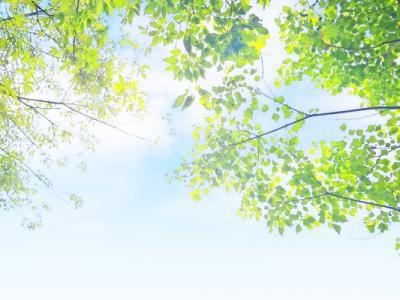 什么時(shí)候三伏天