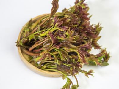 春分吃什么食物最好