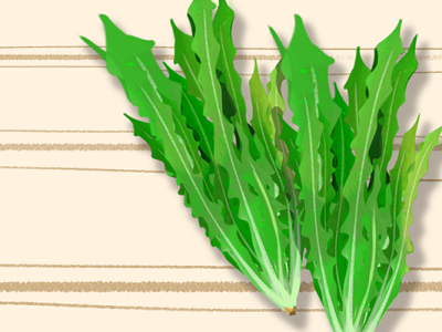 春分節氣的特點和風俗