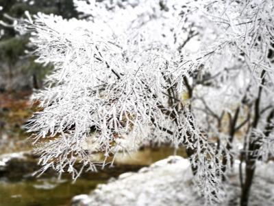 小雪的節氣特點