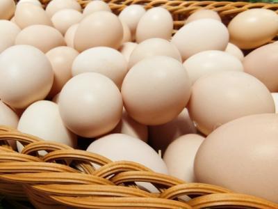 春天吃什么長(zhǎng)個(gè)子