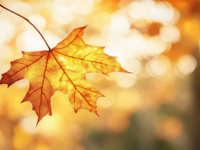 秋分屬于什么季節