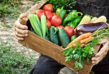 護眼:3類營養讓您的眼睛保持健康