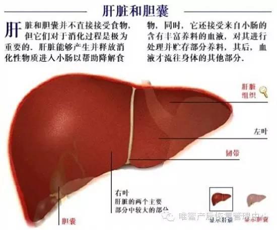 這些身體部位，不保養老的快