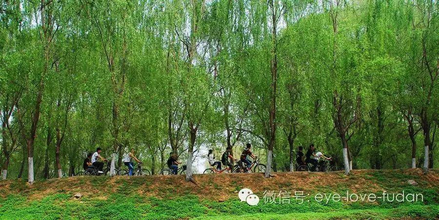 眼睛干澀、浮腫、疲勞、有血絲的護理小技巧！