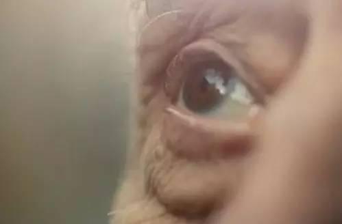 老年人日常護(hù)眼常用這六種方法