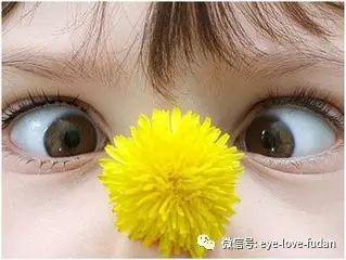 斜弱視嚴重影響眼健康,兒童治療要趁早 斜弱視嚴重影響眼健康,兒童治療要趁早