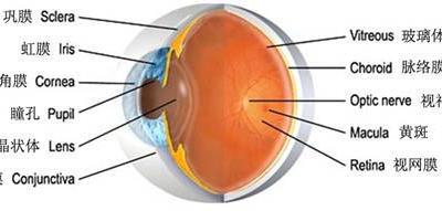 哪些才是眼科必查項目？