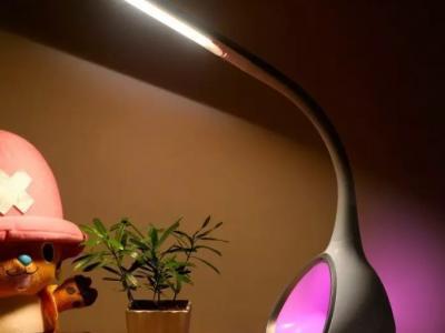 如何正確選擇并使用臺燈？