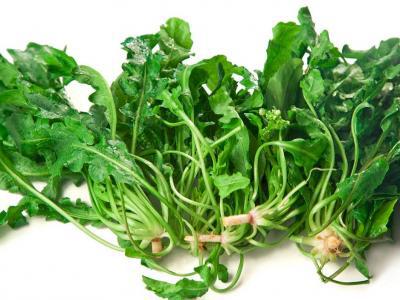 這5種食物不僅營養美味，還能保護視力！