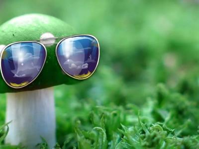 如何給孩子選擇太陽鏡？