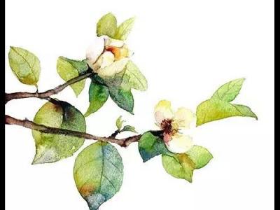 激光近視手術(shù)不能忽視的問題