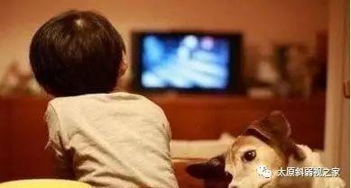 用電視哄孩子，視力傷害大