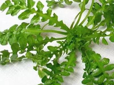 眼睛干、累？別急，吃這些可以緩解！