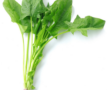 秋季護眼對抗干燥大攻略！