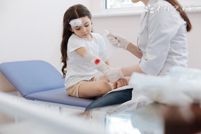 三七草的藥用價值_三七草的副作用