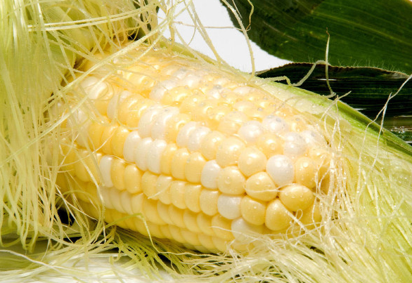 哮喘七種食物碰不得