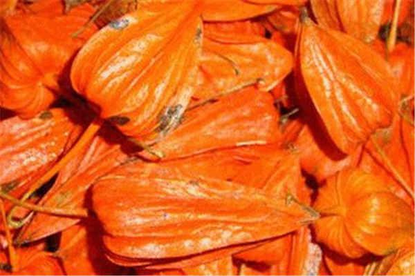 苦姑娘皮泡水喝功效