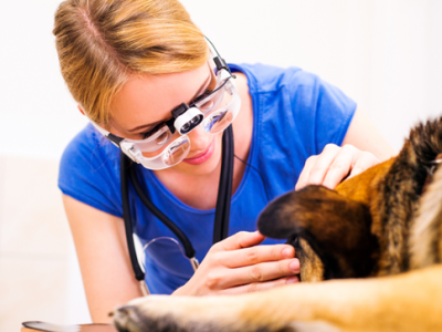 女性去濕氣最快的方法