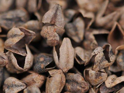 熬夜上火怎么辦？減少熬夜預防這種疾病